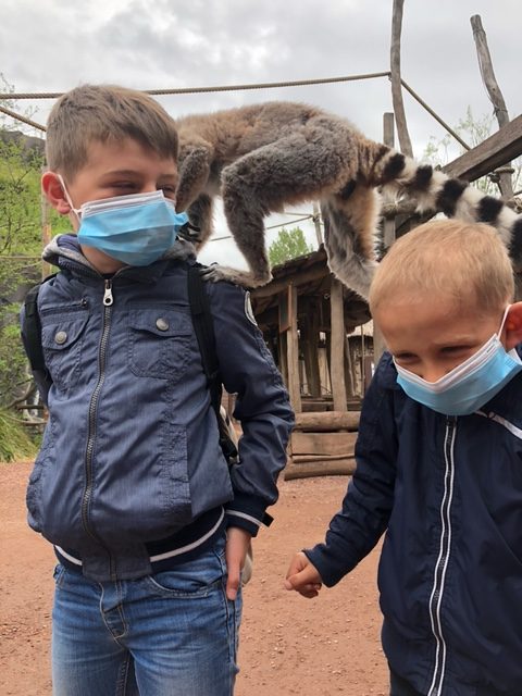 Alexis et son frère jouent avec les lémuriens