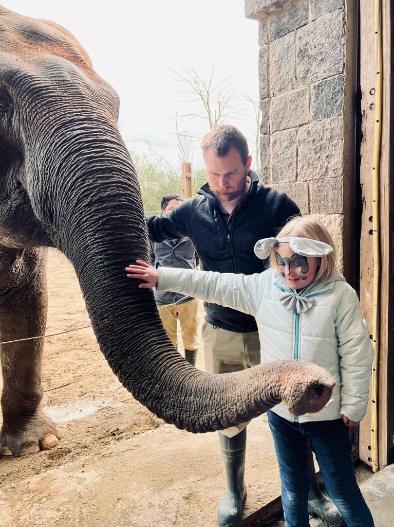 Manon qui touche un éléphant