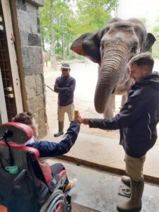 Livio qui nourrit l'éléphant à Pairi Daiza