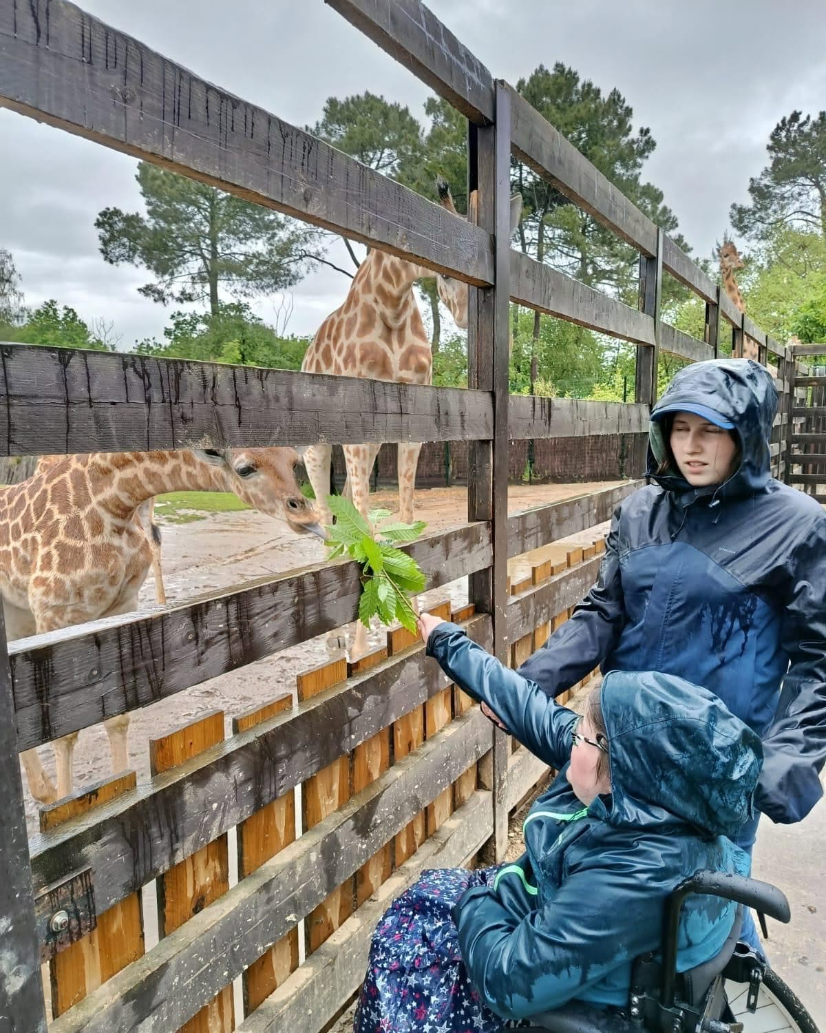 Clara au Zoo de la Flèche
